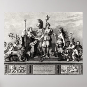Poster The French Constitution