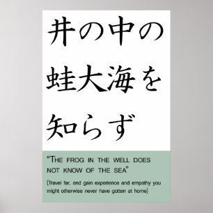 Póster The frog in the well does not know of the sea