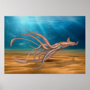 POSTER THE GIANT SQUID