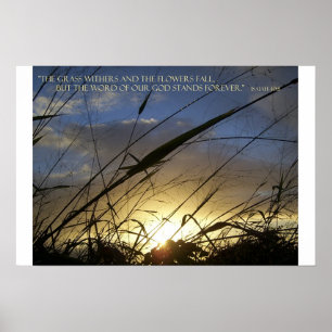 Póster The Grass Withers