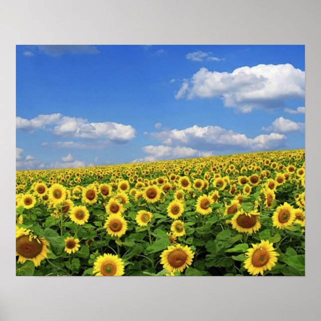 Póster The_Greatness_of_Nature_(5) (Frente)