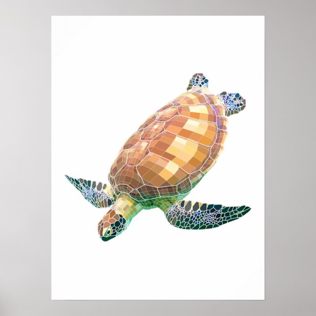Poster The Green Sea Turtle (Colored) (Frente)