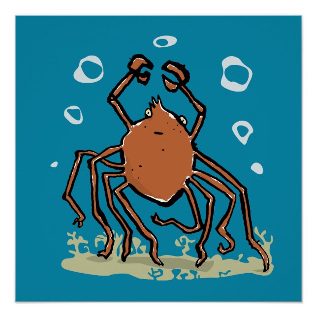 Póster the groovy sea spider (Frente)