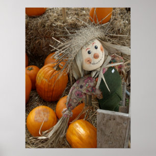 Póster The Happy Scarecrow