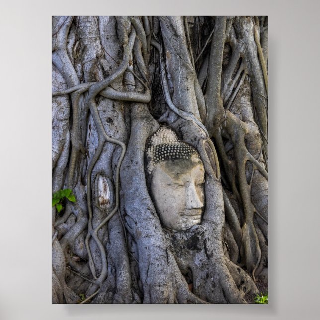 Poster The head in the tree (Frente)