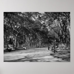 Póster The Mall in Central Park in New York City