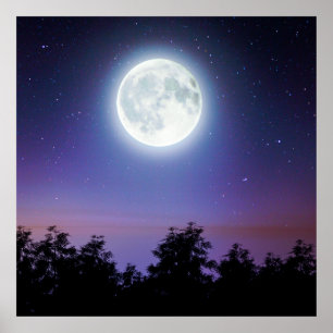 Poster the Moon above the forest