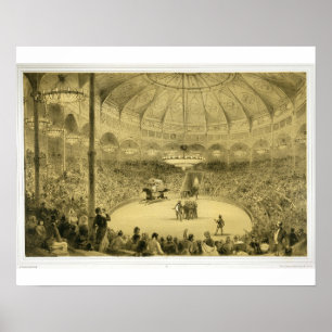 Póster The National Circus, published by Auguste Bry (lit