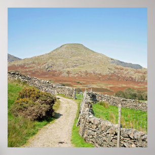 Poster The Old Man of Coniston Postcard Cushion