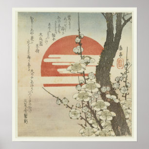 Póster The Plum Tree and The Rising Sun