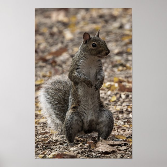 Poster The Pose (Frente)