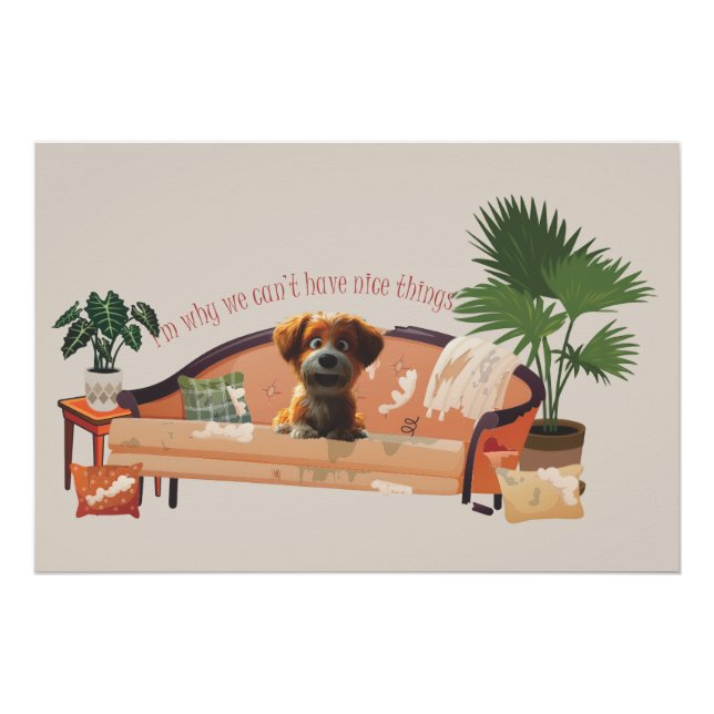 Póster The reason we can't have nice things (Frente)