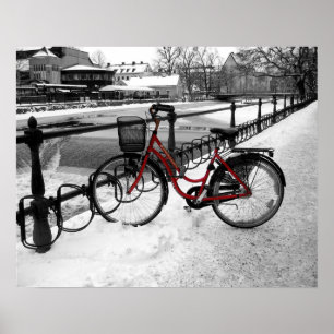 Póster The Red Bicycle