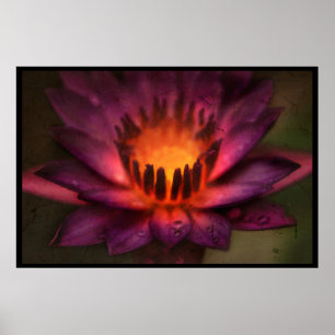 Poster The Sacred Fire Dance of a Lotus