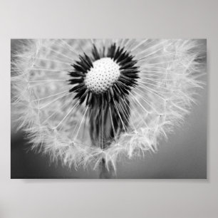 Póster The Seeds of Tomorrow