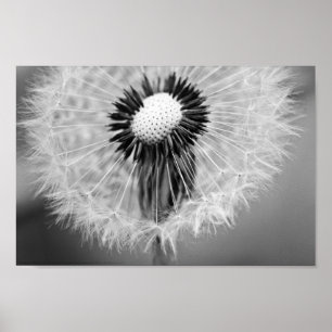 Póster The Seeds of Tomorrow