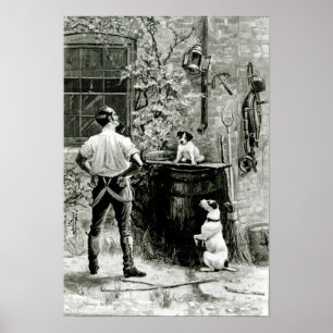 Póster The Survival of the Fittest