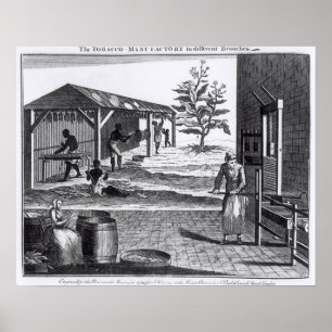Poster The Tobacco Manufactory in Different Branches