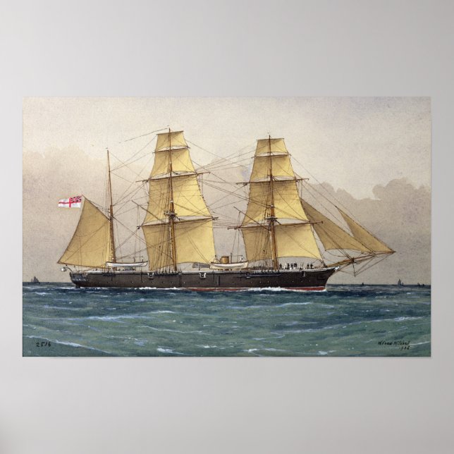 Póster The Wild Swan, 1906 (Frente)