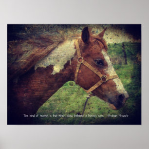 Póster The Wind of Heaven, Flashy