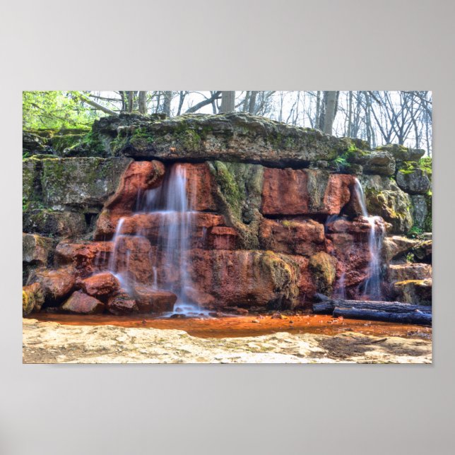 Poster The Yellow Primavera, Glen Helen Nature Reserve, O (Frente)