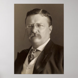 Poster Theodore Roosevelt, 26º presidente dos EUA