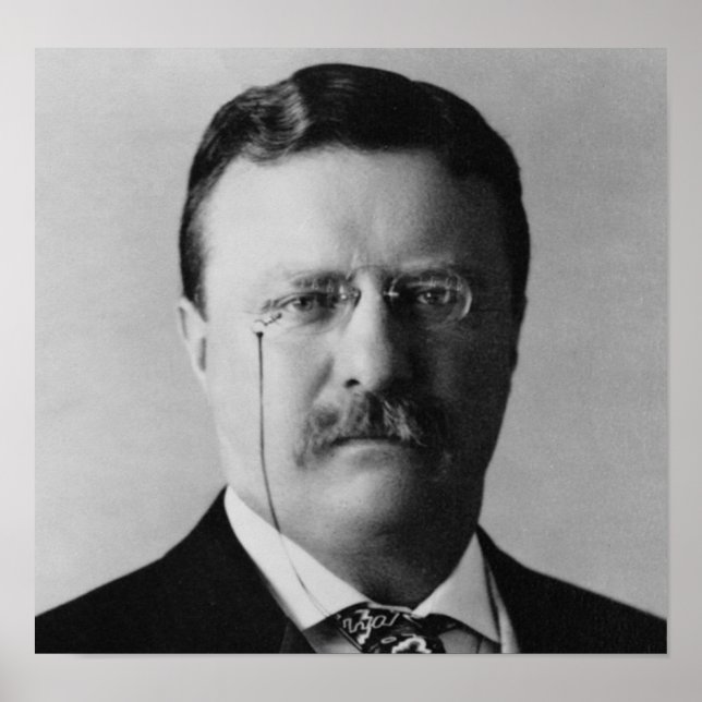 Poster Theodore Roosevelt 26 (Frente)