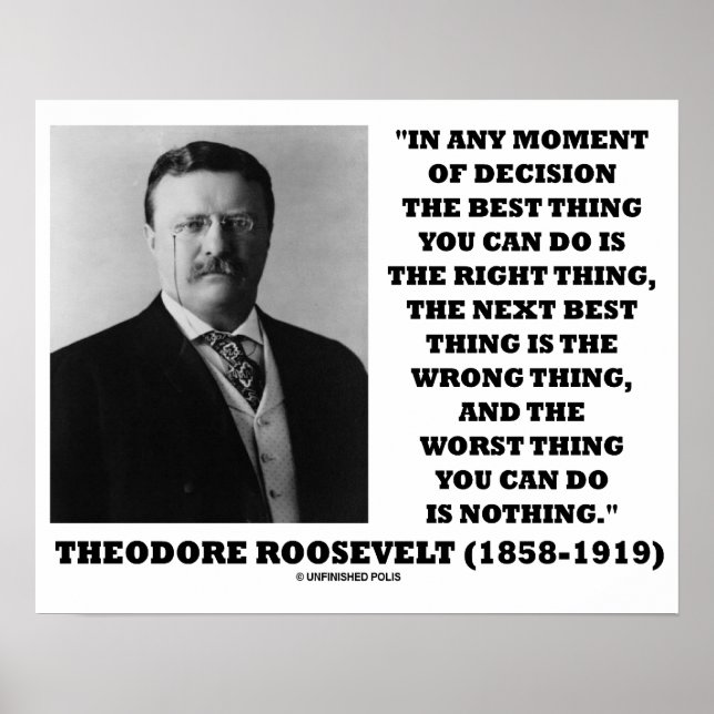 Poster Theodore Roosevelt Momento Da Decisão Melhor Coisa (Frente)