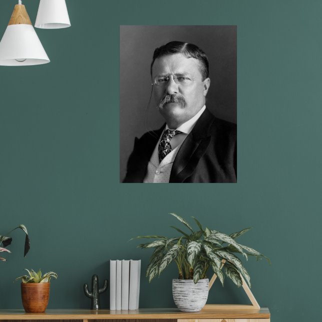 Poster Theodore Roosevelt Presidente Ursinho Republicano (Sala de Estar 1)