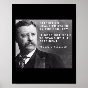 Poster Theodore Roosevelt Pró-democracia Anti-trump Patri