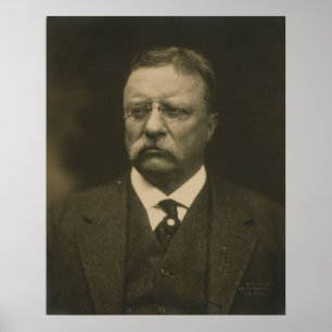 Póster Theodore Roosevelt Retrato dos Pach Brothers