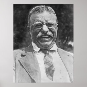Poster Theodore "Ursinho" Roosevelt