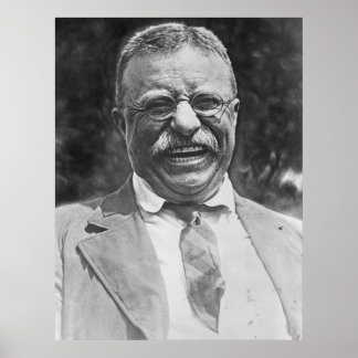 Poster Theodore "Ursinho" Roosevelt