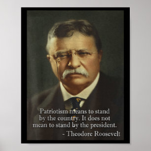 Poster Theodore Ursinho Roosevelt Meme _ Anti Trump Tee