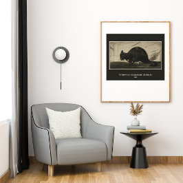 Poster Théophile Steinlen, Gato Negro Arrancando As Costa