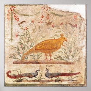 Poster thermopolium que descreve phoenix e inscrição