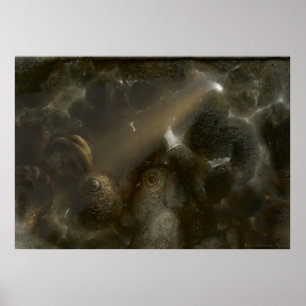 Póster Therone Caverna estranha