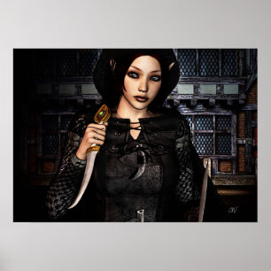 Poster 'Theves Night Out'