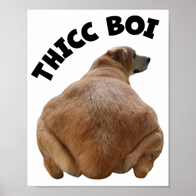 Poster Thicc Boi Fat e Funny Yellow Labrador Retriever (Frente)