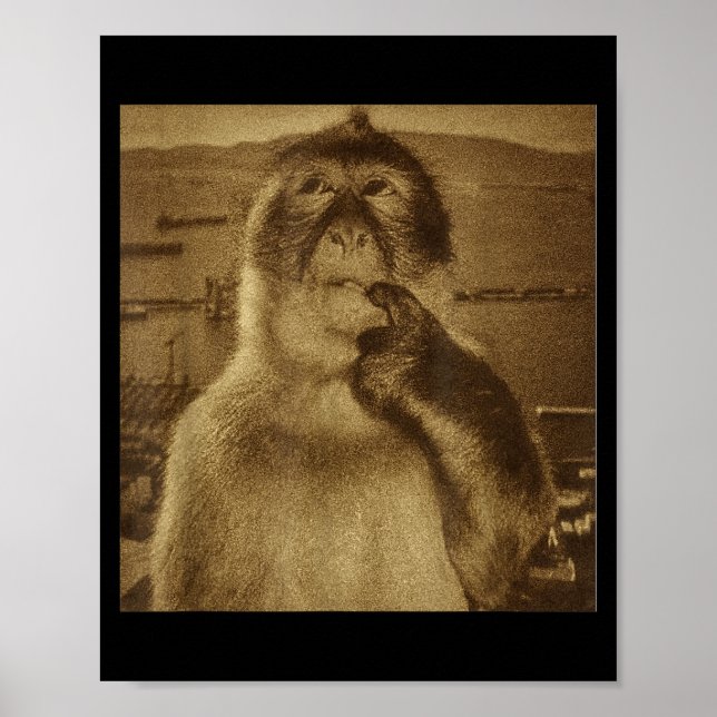 Poster Thinking Monkey Meme Vintage Retro  (Frente)