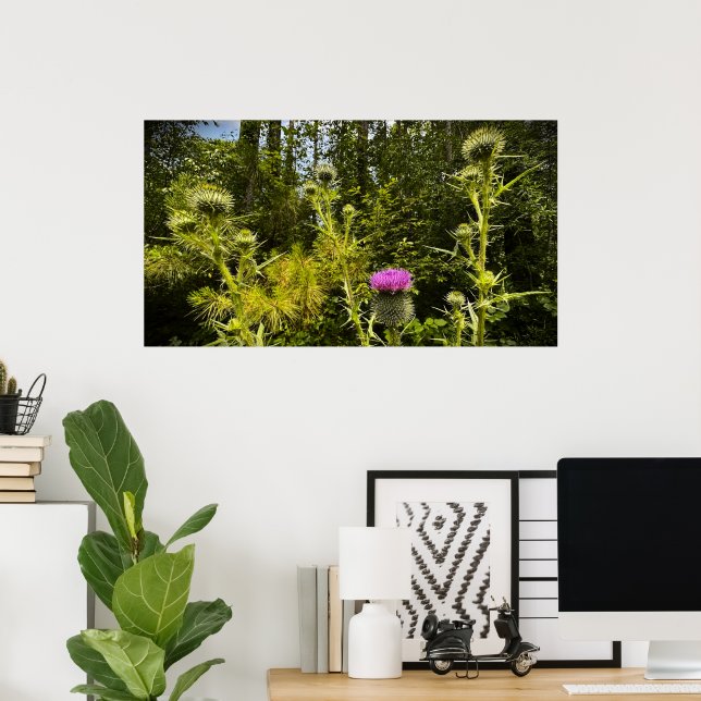 Poster Thistle, (Escritório em casa)