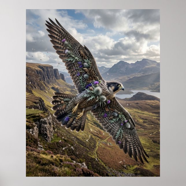 Poster Thistle Falcon Highland Sky (Frente)
