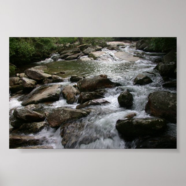 Póster Thompson River (Frente)