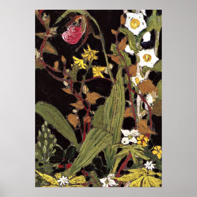 Poster Thomson - Orquídeas, Parque Algonquin (Frente)