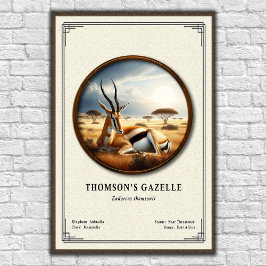 Poster Thomson's Gazelle Zoology Series
