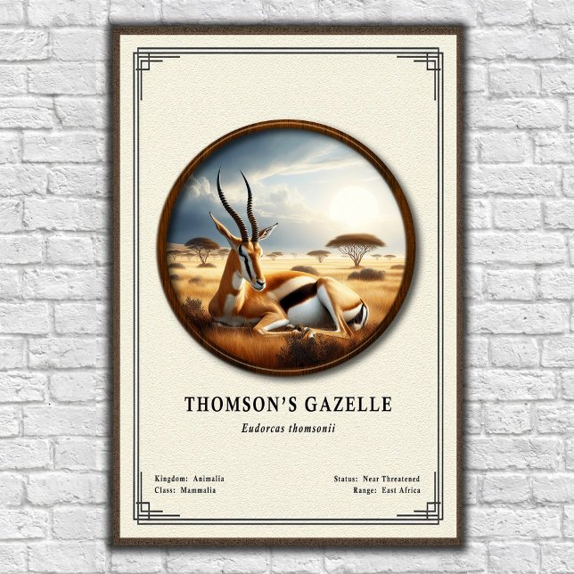 Poster Thomson's Gazelle Zoology Series (Criador carregado)