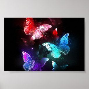 Poster Three Glowing Butterflies on night background