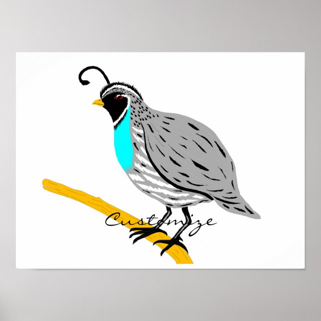 Poster Thunder_Cove da Quail com garganta azul (Frente)