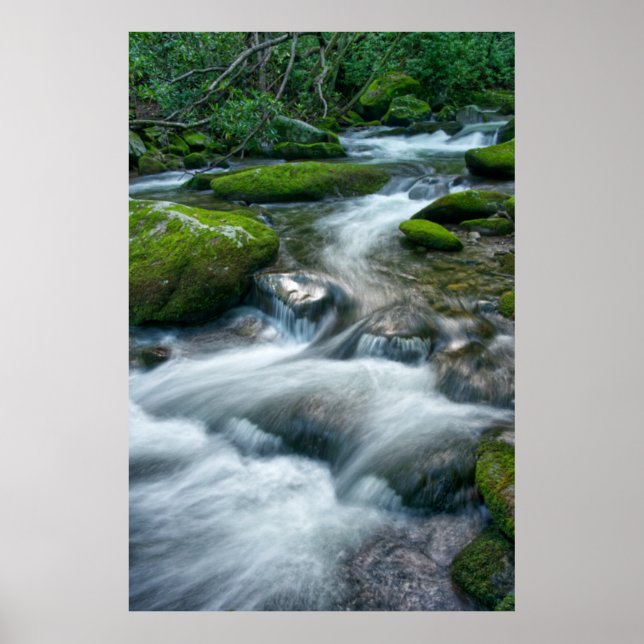 Poster Thunderhead Prong 16 (Frente)