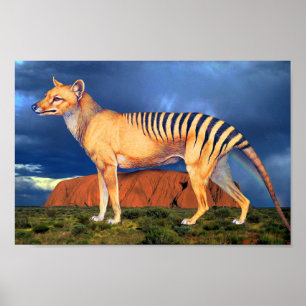 Poster Thylacine (tigre tasmaniano)